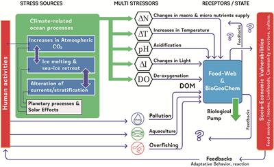 Natural and Human Influences on Marine Processes in Patagonian Subantarctic Coastal Waters